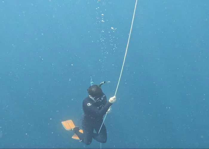 Cnc Dive At Cebu Hotel