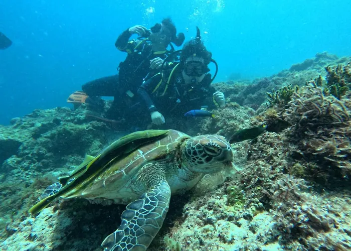 Cnc Dive At Cebu 2*