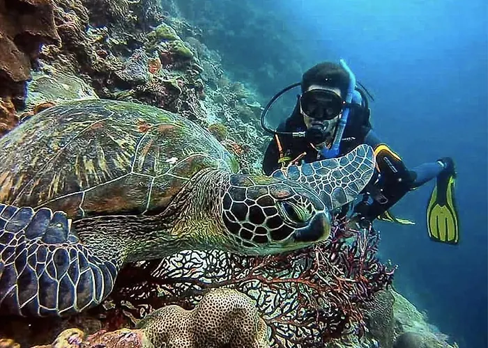 Cnc Dive At Cebu 2*